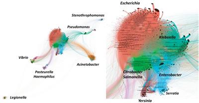 Gene Transmission in the One Health Microbiosphere and the Channels of Antimicrobial Resistance